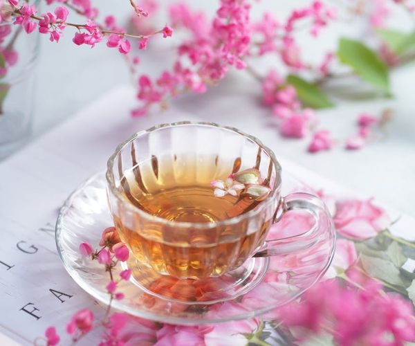 Beautiful pink flowers representing natural herbal eye support and comfort